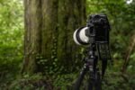 Sony Alpha A7R V Hybridkamera (nur Gehäuse), Schwarz – Bild 12